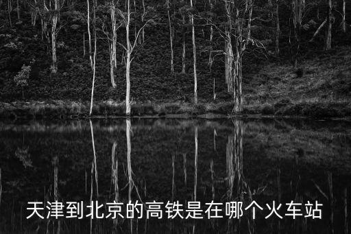 天津到北京的高鐵是在哪個火車站
