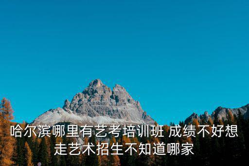 哈爾濱藝考，哈爾濱印象藝考怎么樣