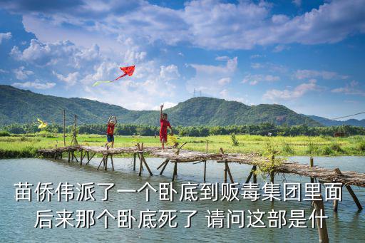 苗僑偉派了一個臥底到販毒集團(tuán)里面 后來那個臥底死了 請問這部是什