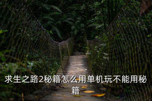 求生之路2秘籍怎么用單機(jī)玩不能用秘籍