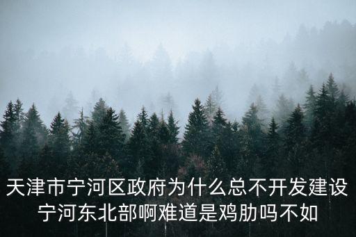 天津市寧河區(qū)政府為什么總不開發(fā)建設(shè)寧河?xùn)|北部啊難道是雞肋嗎不如