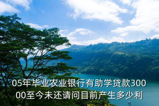 05年畢業農業銀行有助學貸款30000至今未還請問目前產生多少利