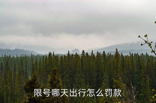 限號(hào)哪天出行怎么罰款