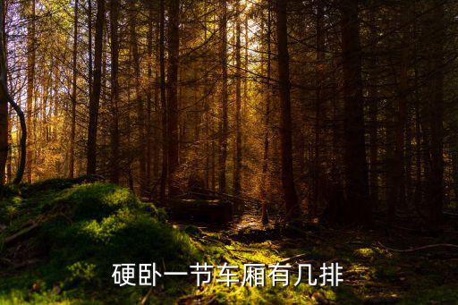 硬臥車廂，普通列車的硬臥里面什么樣幾個人一屋每個車廂共多少人每個房