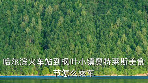 哈爾濱火車站到楓葉小鎮(zhèn)奧特萊斯美食節(jié)怎么乘車
