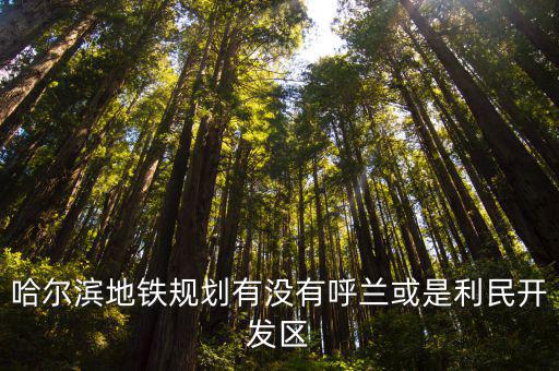 哈爾濱地鐵規劃有沒有呼蘭或是利民開發區