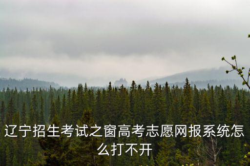 遼寧志愿服務網，志愿遼寧網咋那么卡呢