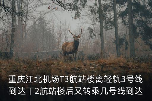 重慶江北機場T3航站樓離輕軌3號線到達丅2航站樓后又轉乘幾號線到達