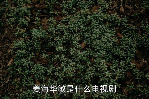 姜海華敏是什么電視劇