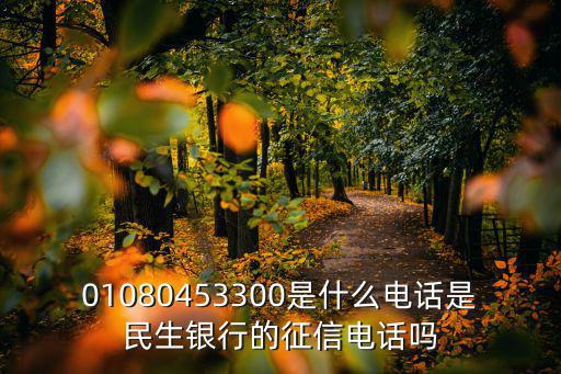 01080453300是什么電話(huà)是民生銀行的征信電話(huà)嗎