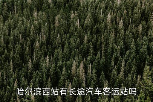 哈爾濱西站有長途汽車客運站嗎