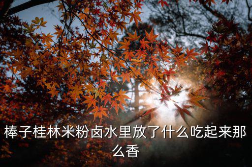 棒子桂林米粉鹵水里放了什么吃起來那么香
