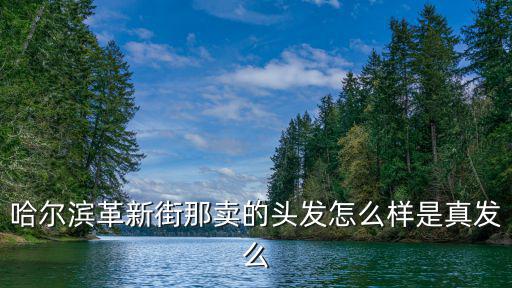 哈爾濱革新街那賣的頭發怎么樣是真發么