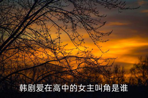 韓劇愛在高中的女主叫角是誰