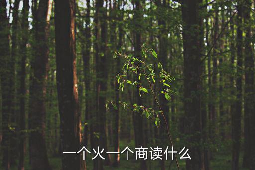 一個(gè)火一個(gè)商讀什么