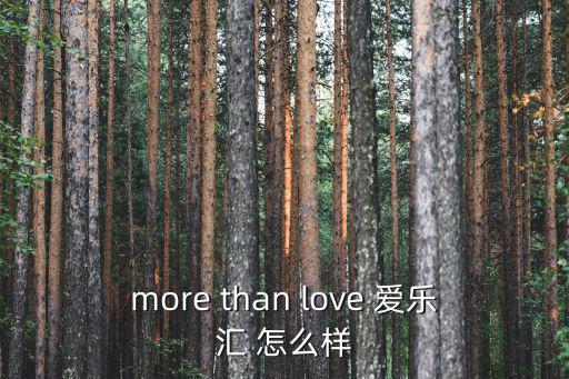 more than love 愛樂匯 怎么樣