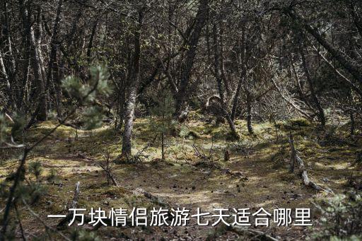 一萬塊情侶旅游七天適合哪里