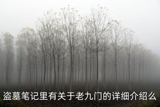 盜墓筆記老九門，盜墓筆記里有關于老九門的詳細介紹么