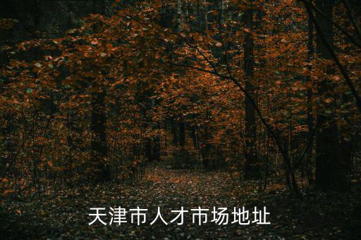 天津市人才市場地址
