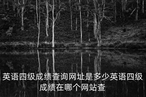 英語四級成績查詢網(wǎng)址是多少英語四級成績在哪個網(wǎng)站查