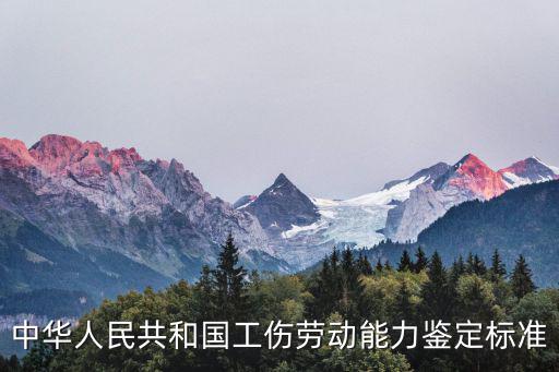 中華人民共和國工傷勞動能力鑒定標準