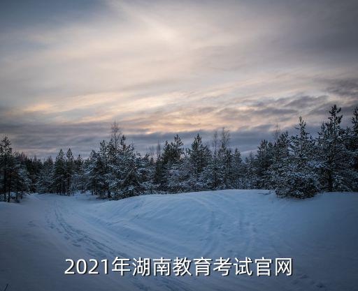 2021年湖南教育考試官網