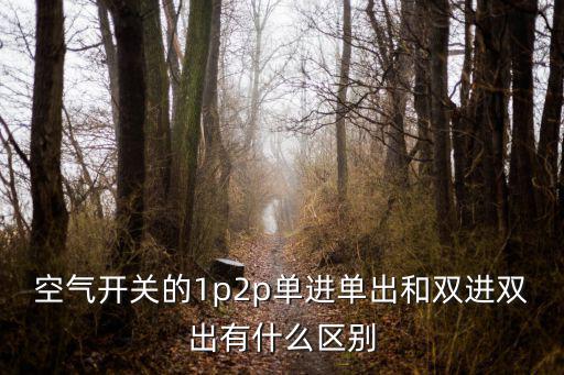 空氣開關的1p2p單進單出和雙進雙出有什么區別