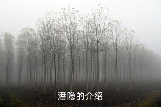潘隱的介紹