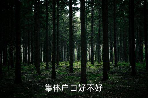 集體戶口，什么叫集體戶口
