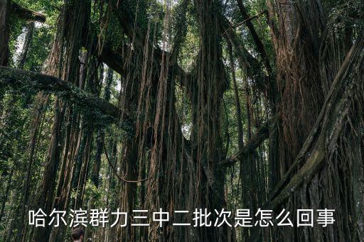 哈爾濱群力三中二批次是怎么回事