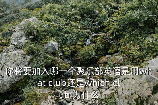 你將要加入哪一個聚樂部英語是用what club還是which club 為什么