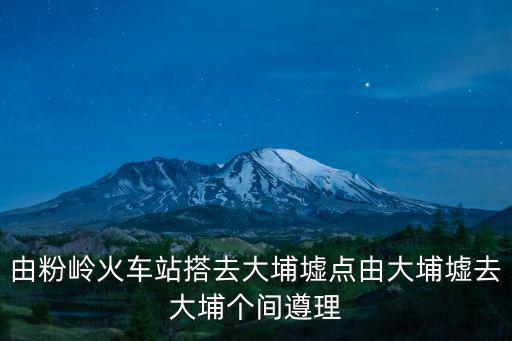 由粉嶺火車站搭去大埔墟點由大埔墟去大埔個間遵理