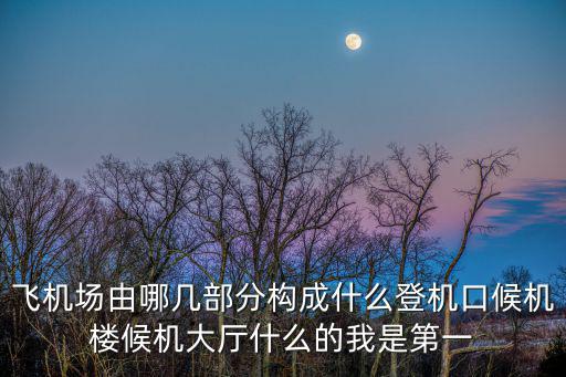 飛機場由哪幾部分構(gòu)成什么登機口候機樓候機大廳什么的我是第一