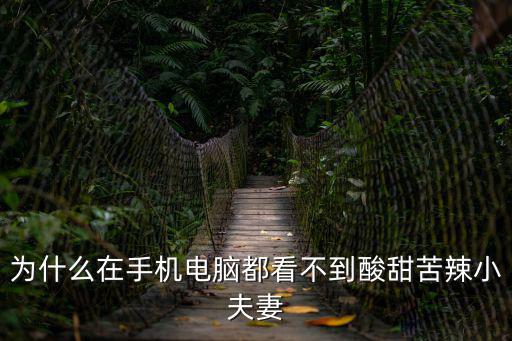 為什么在手機電腦都看不到酸甜苦辣小夫妻