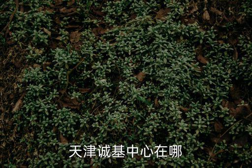 天津誠(chéng)基中心在哪