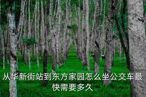 從華新街站到東方家園怎么坐公交車最快需要多久