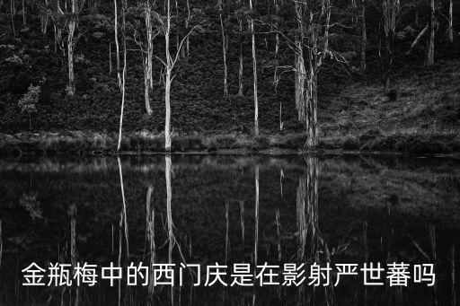 金餅梅，金瓶梅的西門不是宋朝的嗎