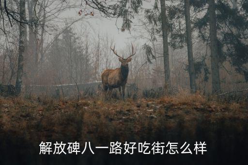 解放碑八一路好吃街怎么樣