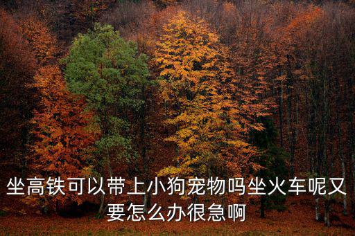 高鐵能不能帶寵物，坐高鐵可以帶寵物嗎 高鐵能托運寵物嗎 寵物托運流程