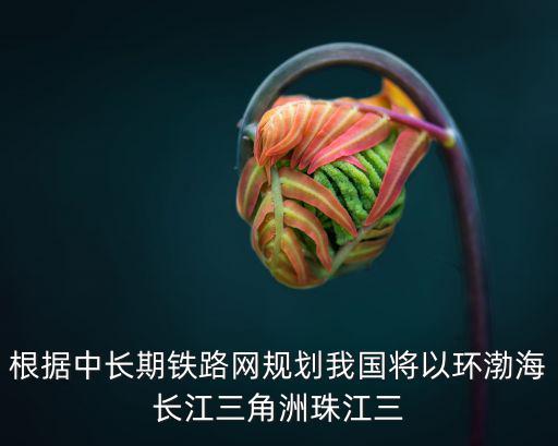 中長期鐵路網規劃，根據中長期鐵路網規劃我國將以環渤海長江三角洲珠江三