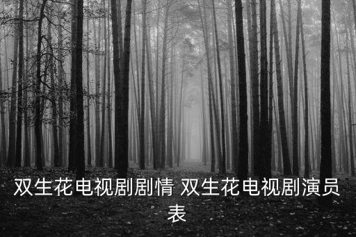 雙生花電視劇劇情 雙生花電視劇演員表