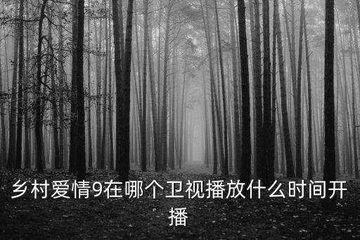 鄉(xiāng)村愛情9在哪個衛(wèi)視播放什么時間開播