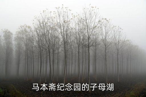 馬本齋紀(jì)念園的子母湖