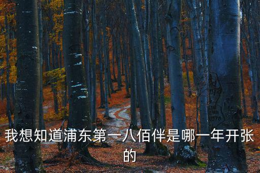 我想知道浦東第一八佰伴是哪一年開張的
