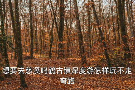 想要去慈溪鳴鶴古鎮深度游怎樣玩不走彎路