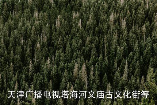 天津廣播電視塔，天津的電視塔叫什么名字