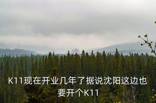 K11現在開業幾年了據說沈陽這邊也要開個K11