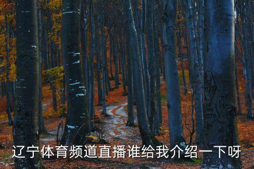 遼寧體育頻道直播誰給我介紹一下呀