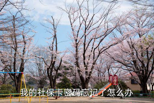 我的社保卡密碼忘記了怎么辦