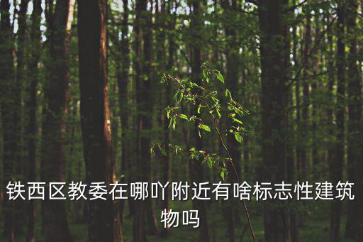 鐵西區教委在哪吖附近有啥標志性建筑物嗎